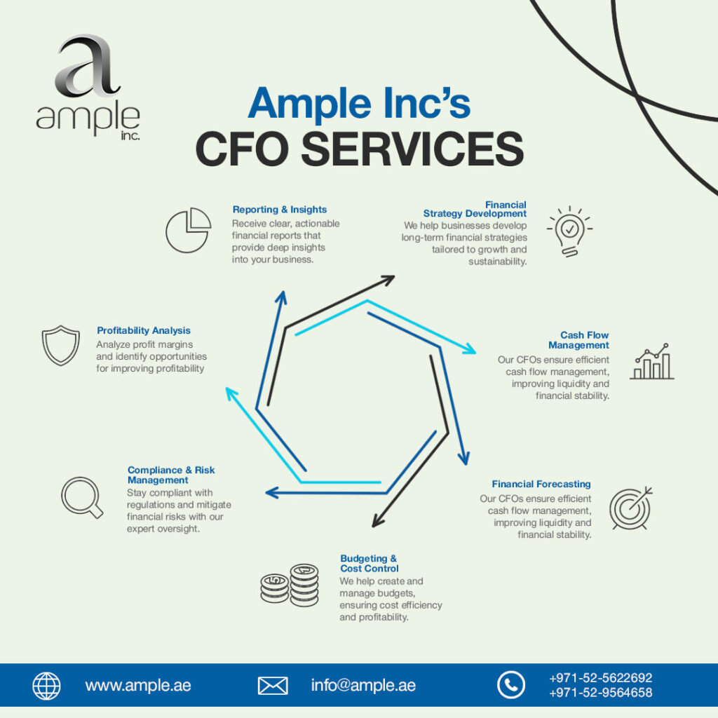 cfo services
