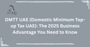 Domestic Minimum Top-up Tax